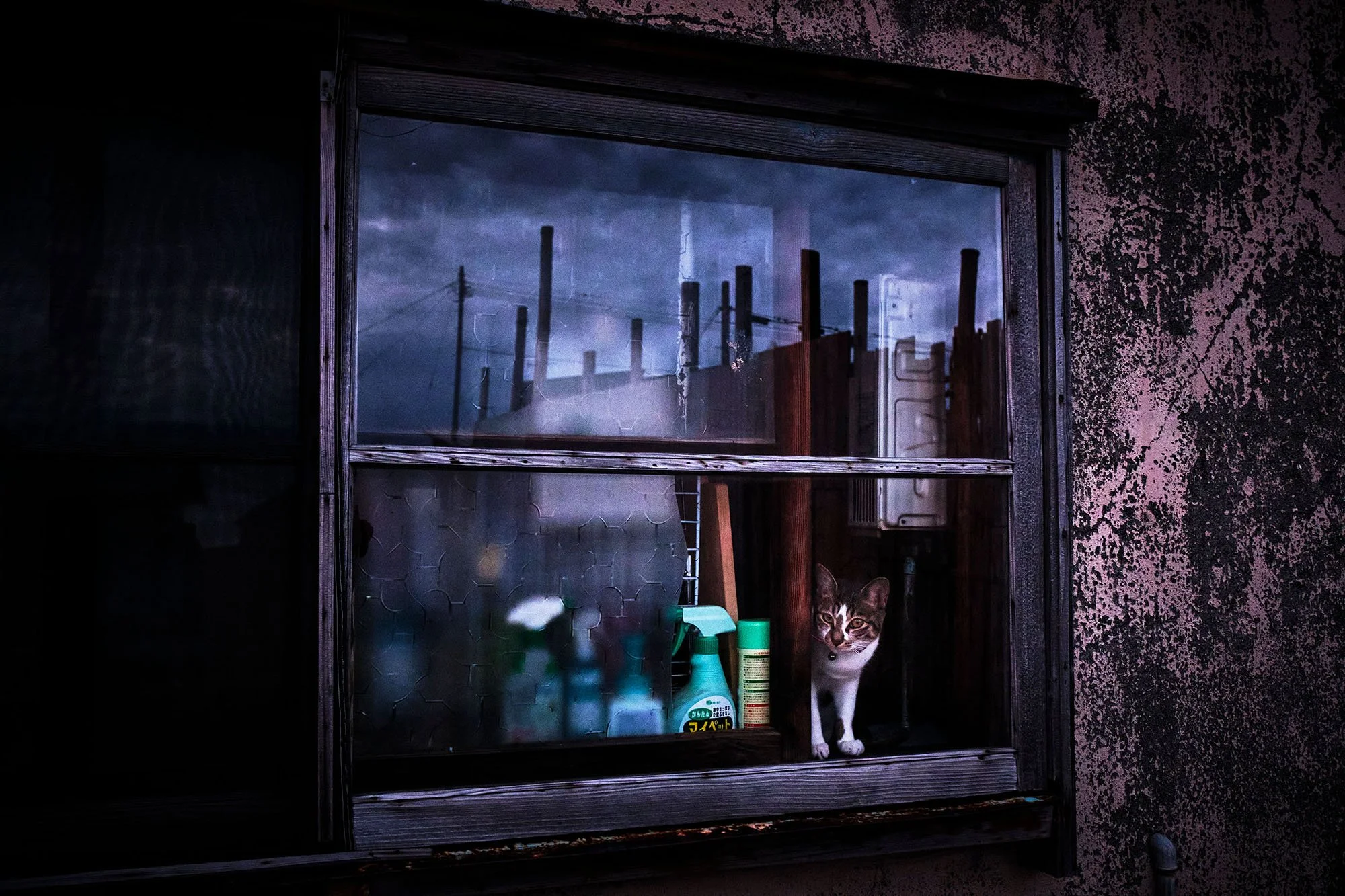 Yasuhiro Ogawa — Blue Lotus Gallery